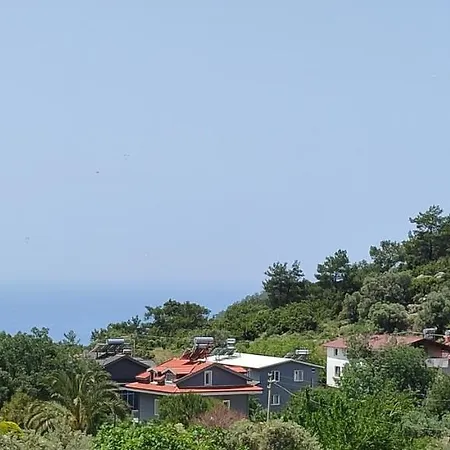 California Apart-hotel 3*
