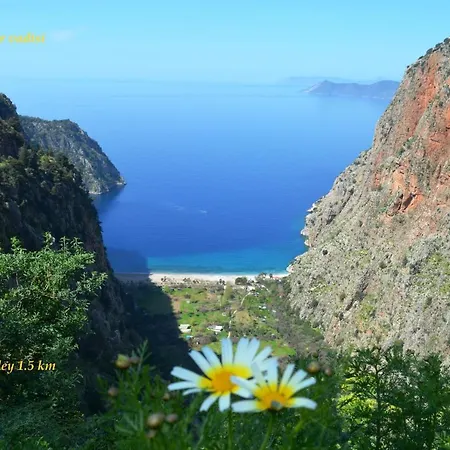 Ξενοδοχείο με διαμερίσματα California 3*