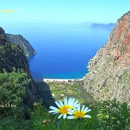 California 4* Ölüdeniz